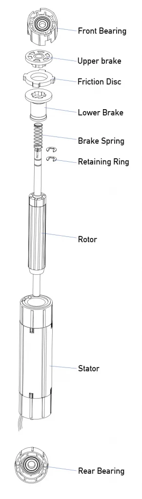 Tubular motor internal structure exploded view showing rotor stator brake spring friction disc and bearing components